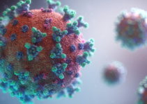 Beta Covid Variant of Corona Virus is Causing Concerns