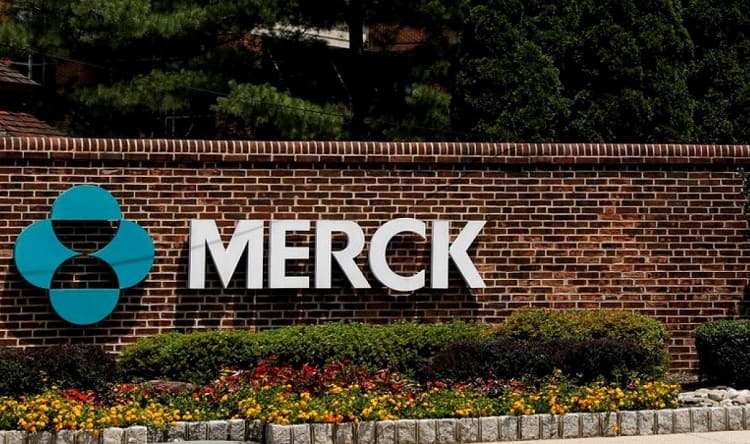 FDA Panel Weighs Safety, Effectiveness of Merck COVID-19 Pill